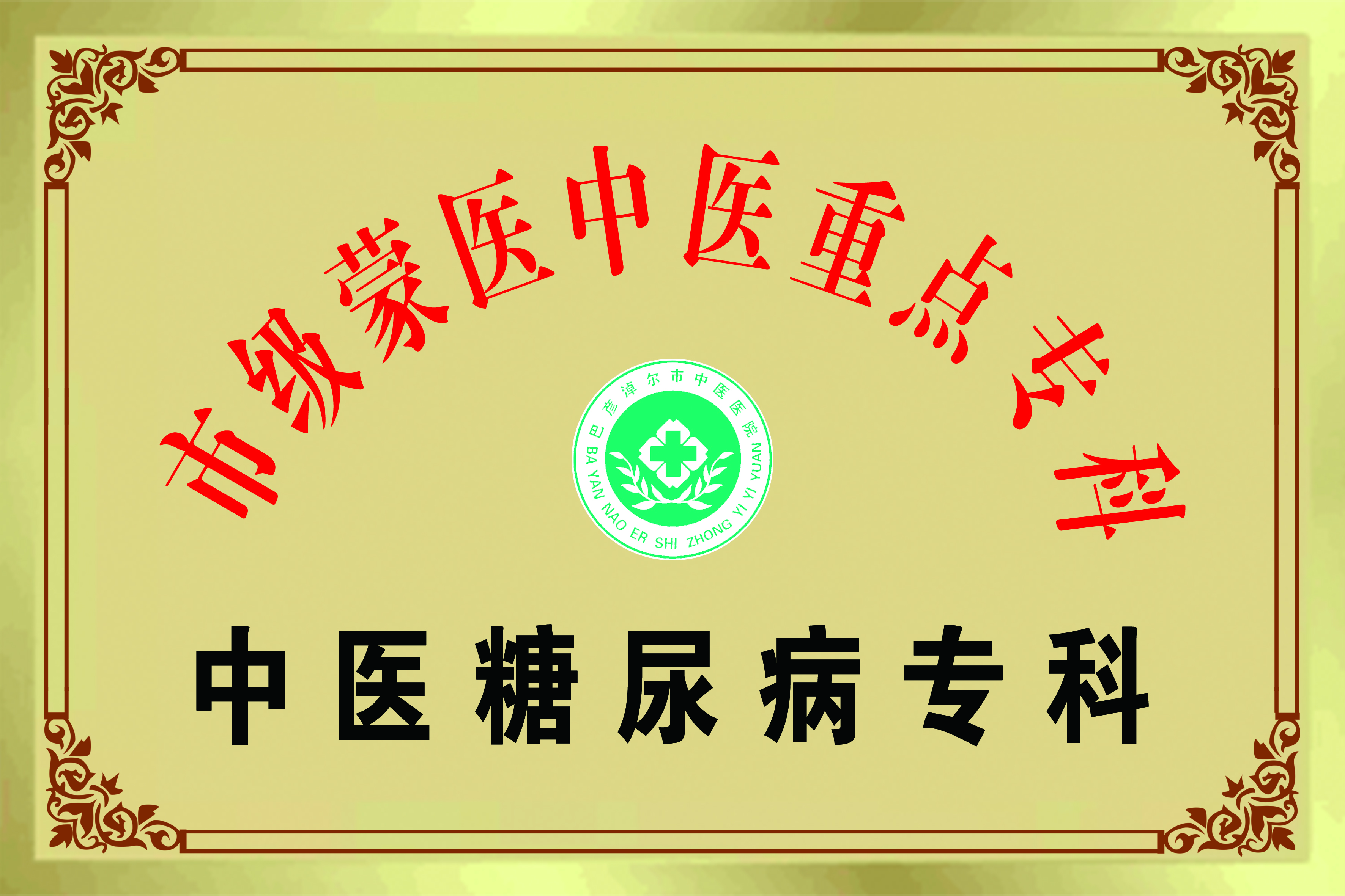 中医糖尿病专�2.jpg