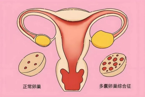 1744615653808024235.jpg 640 (3).jpg