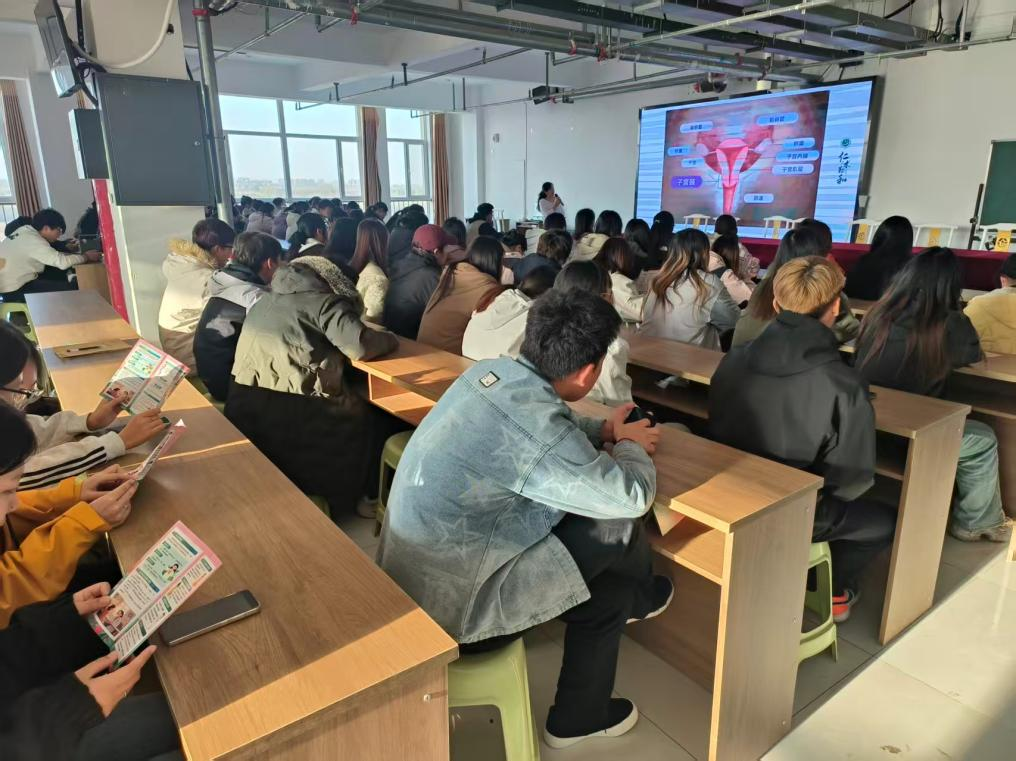 1763517541726093378.png 1763517541726093378.png